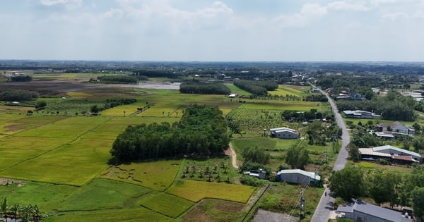 Le président par intérim du Comité populaire provincial de Tay Ninh donne des orientations importantes sur le développement économique