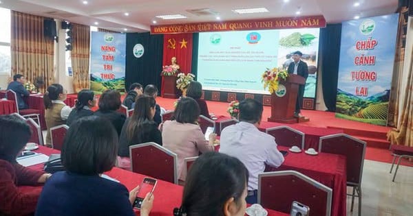 Nourrir les porcs avec de la poudre de thé vert Thai Nguyen les aidera à perdre de la graisse, à gagner du muscle et à avoir une viande plus parfumée ?