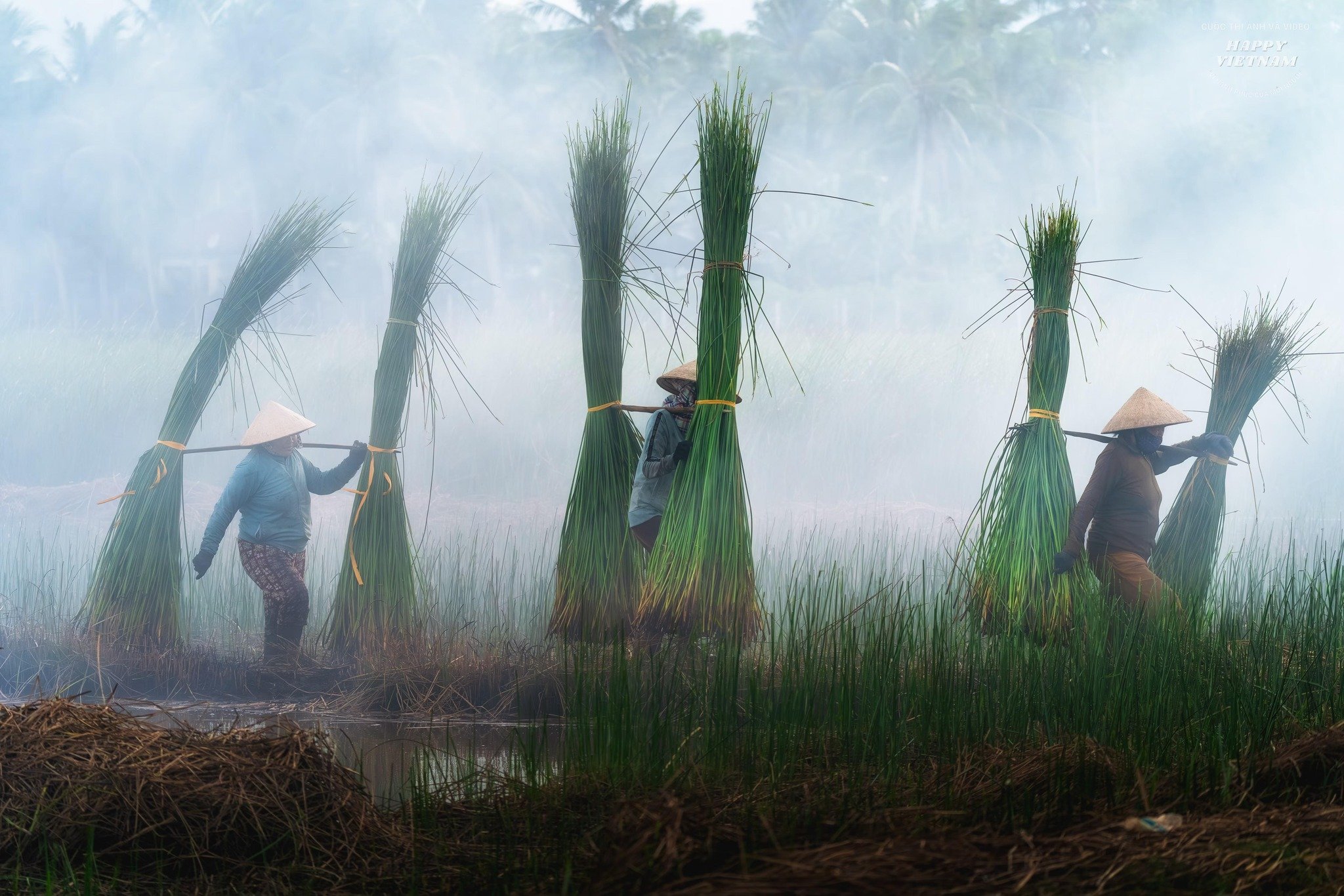 Spreading the beauty of Vietnamese culture and people to the world