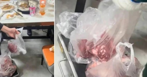 After eating buffet, 2 diners put 10kg of meat in a bag to take home.