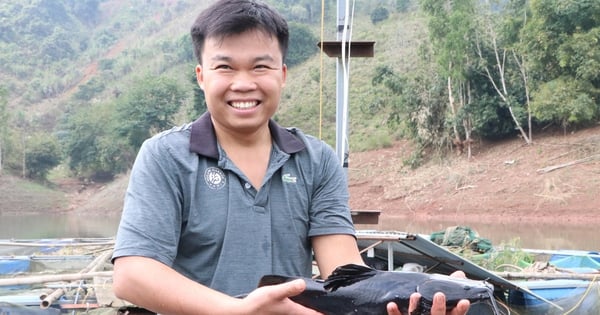 Un garçon Muong de Hoa Binh élève du poisson de spécialité sur un réservoir hydroélectrique. Les clients qui en mangent une fois s'en souviendront pour toujours.