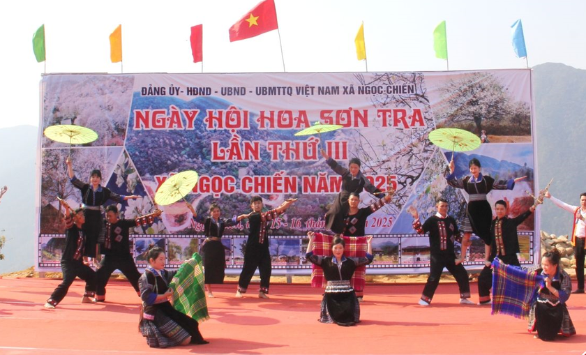 The 3rd Hawthorn Flower Festival in Ngoc Chien Commune in 2025.