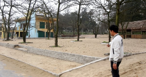 Warum wurden viele Geschäftsstandorte am Strand von Cua Lo widerrufen?