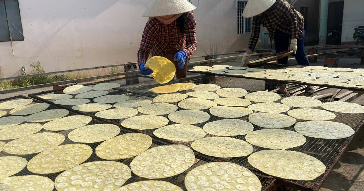 Visiting the over 100-year-old Son Doc rice paper village