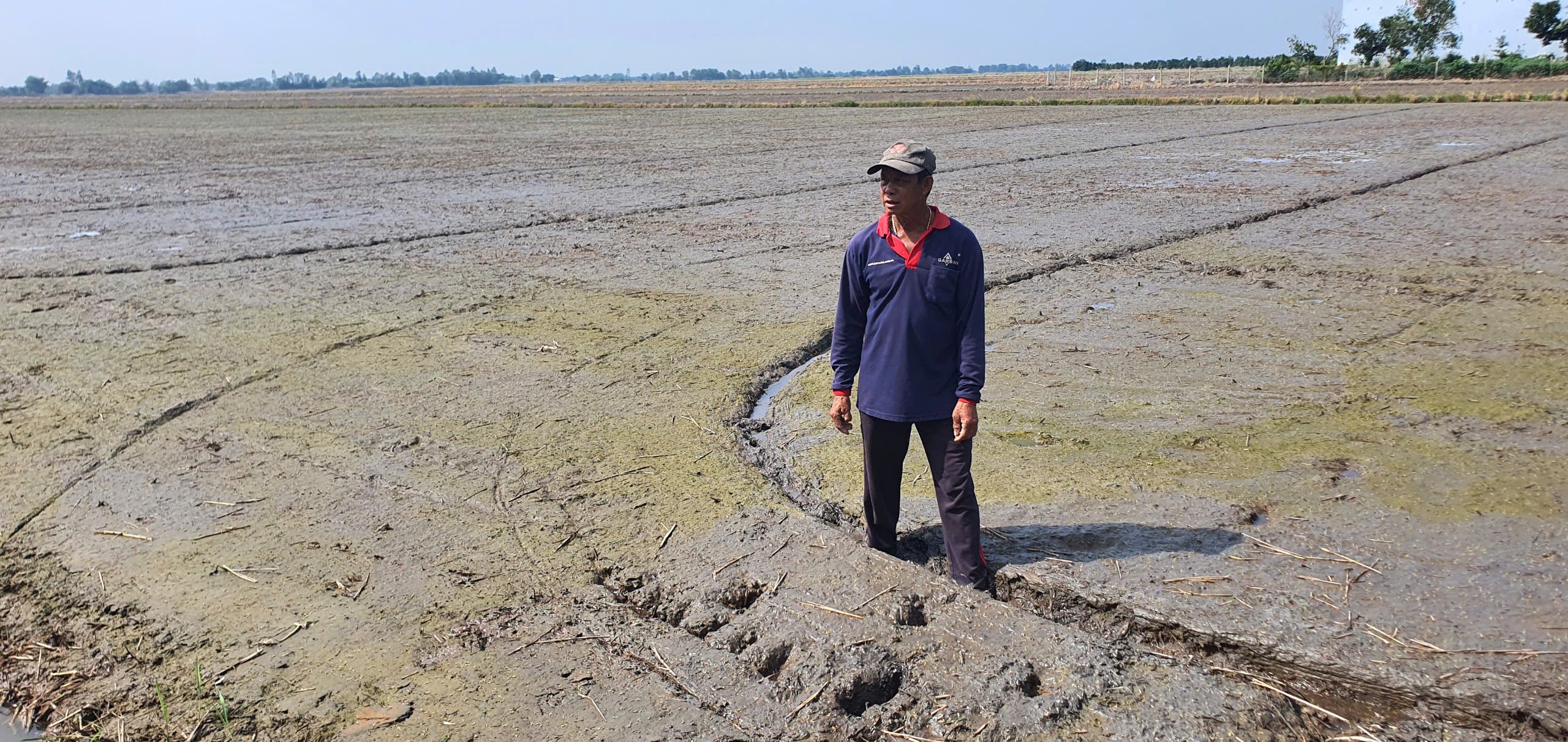 Ông nông dân tay lấm, chân bùn, suốt ngày lam lũ trên cánh đồng rộng 24 ha, mỗi năm thu lợi hơn 1,2 đồng - Ảnh 1.