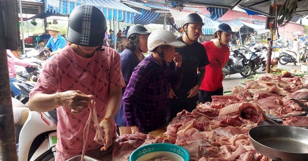 Le propriétaire d'une ferme porcine à Hai Phong affirme qu'il n'y a plus de porcs à vendre et que les prix du porc sur le marché sont élevés.