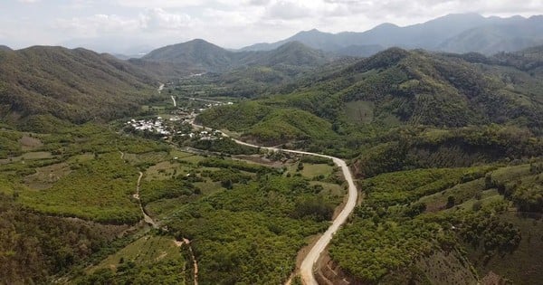 The over 1,000 billion VND road through the forest connecting Ninh Thuan and Lam Dong