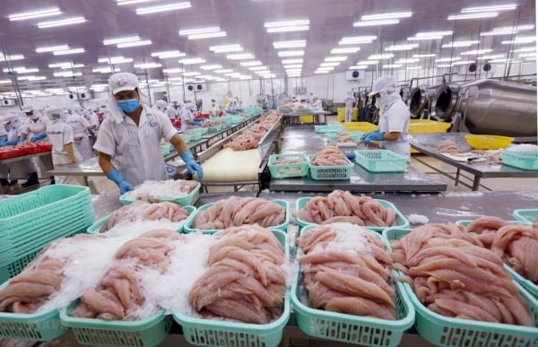 Brasil aumenta las importaciones de mariscos de Vietnam