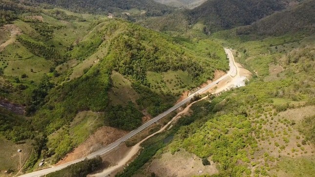 La route d'une valeur de plus de 1 000 milliards de VND à travers la forêt reliant Ninh Thuan et Lam Dong photo 7