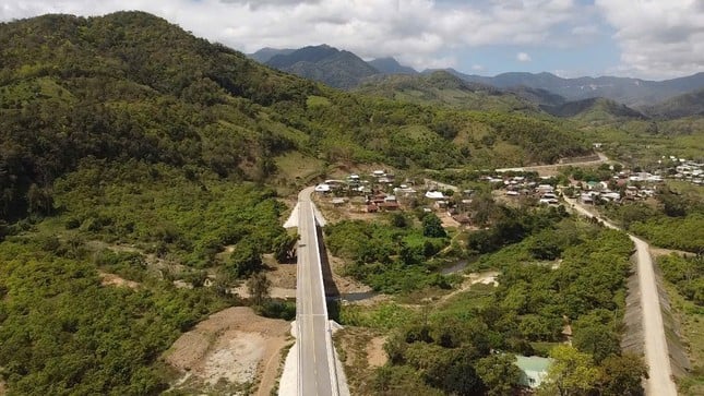 La route d'une valeur de plus de 1 000 milliards de VND à travers la forêt reliant Ninh Thuan et Lam Dong photo 3