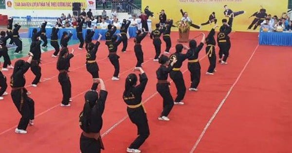 Thai Nguyen strives to elevate Vietnamese traditional martial arts