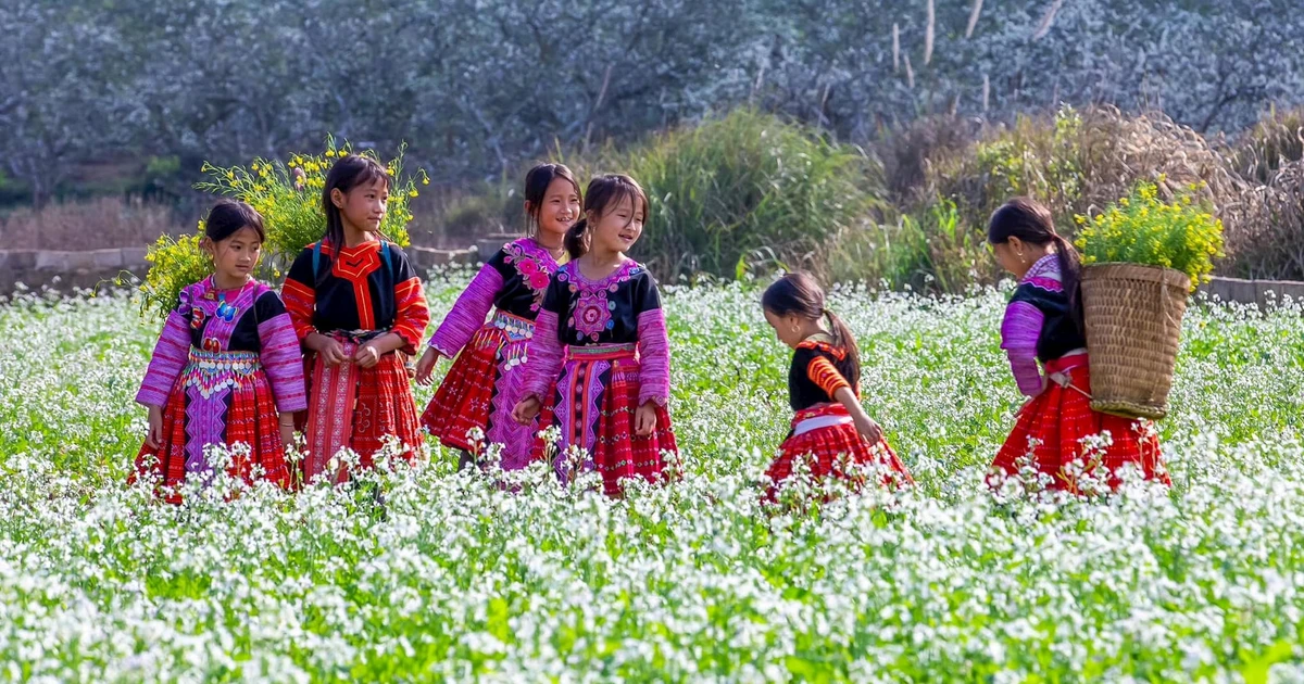 Opportunity for “flower tourism” to become a brand