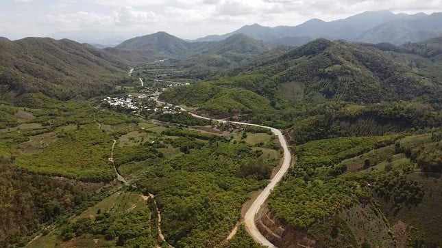 La route d'une valeur de plus de 1 000 milliards de VND à travers la forêt reliant Ninh Thuan et Lam Dong photo 1