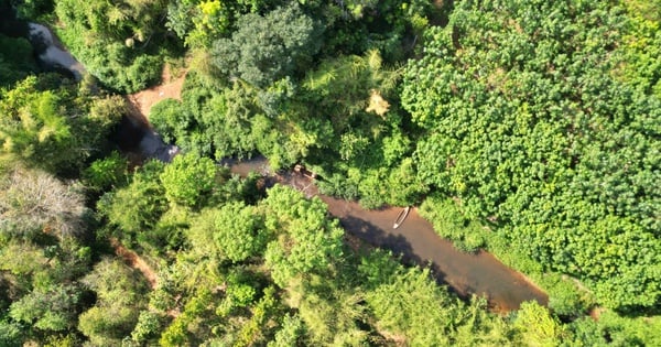 Standort des Straßenbaus, Brückenbau durch den Wald, der Dong Nai mit Binh Phuoc verbindet