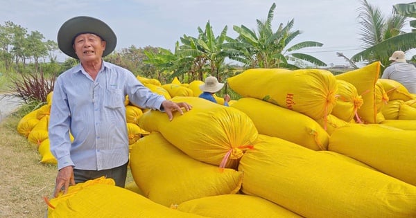 Rice export solves challenges