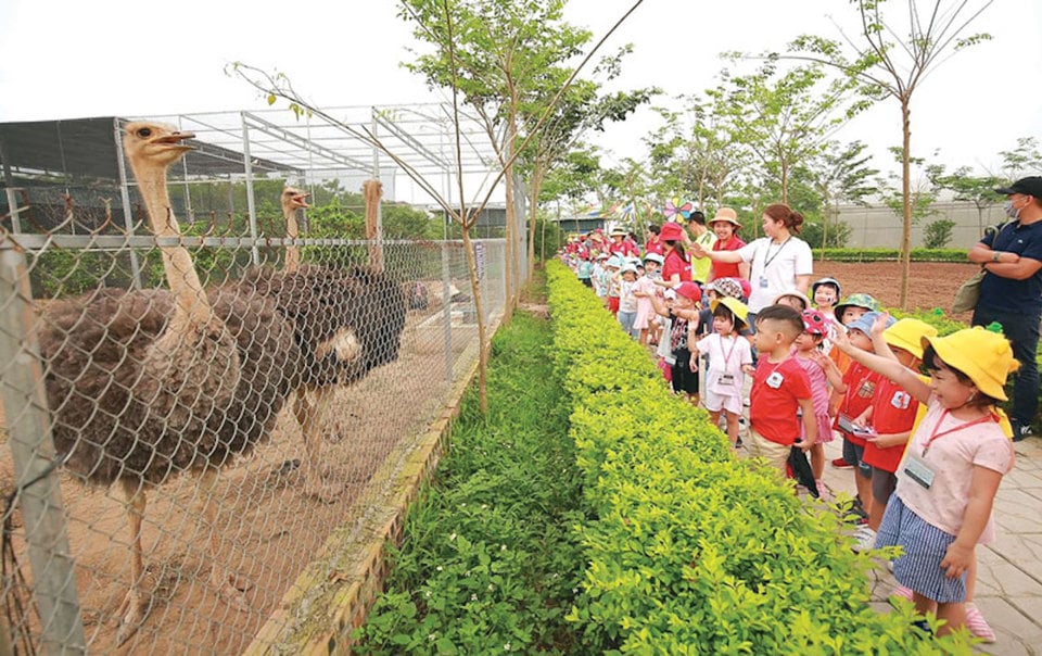 Khu du lịch sinh thái Phù Đổng Green Park (huyện Gia Lâm).