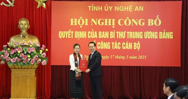 Frau Vo Thi Minh Sinh ist stellvertretende Sekretärin des Parteikomitees der Provinz Nghe An.