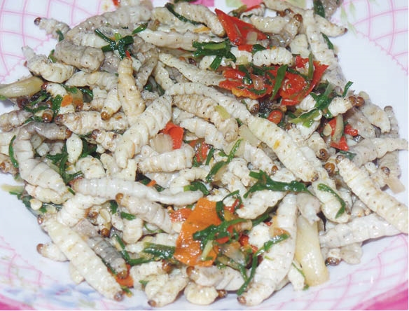 Đặc sản ở nơi này của Huế là một con vật hoang dã chưa kịp 