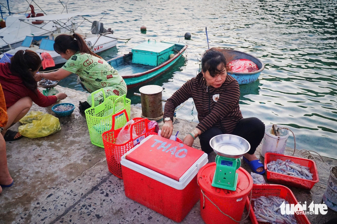 Khám phá làng du lịch cộng đồng Bích Đầm, 'viên ngọc xanh' giữa vịnh Nha Trang - Ảnh 3.