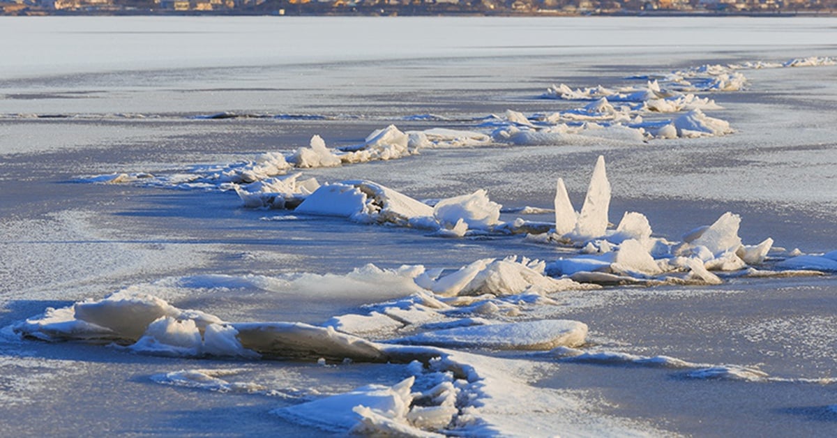 Global warming wipes out Japan's 'love path of the gods'