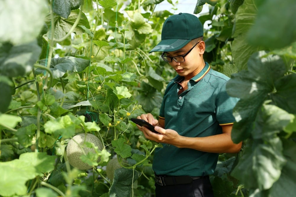 Attentes en matière d'agriculture intelligente