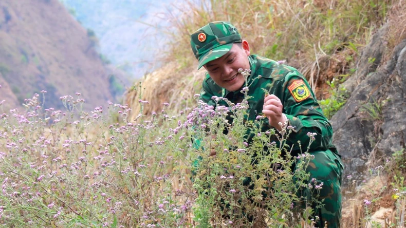 Lũng Cú: Tuần tra biên giới giữa mùa hoa ảnh 10