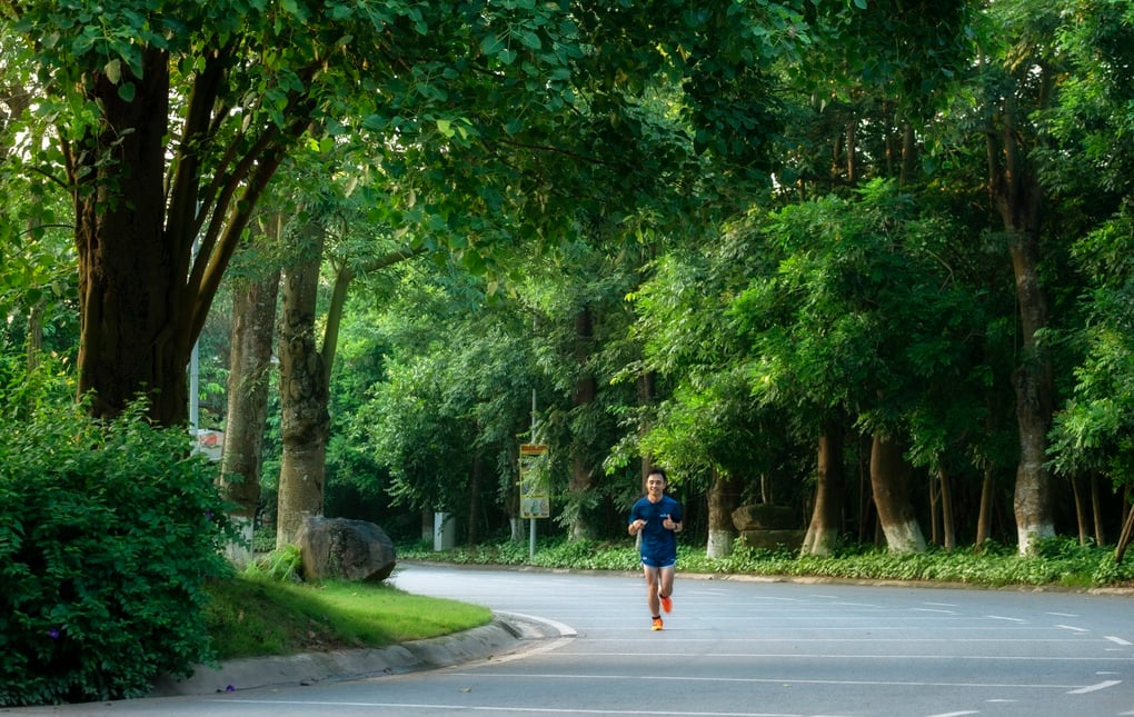 Ecopark và hành trình kiến tạo rừng retreat tiên phong tại Việt Nam - 2