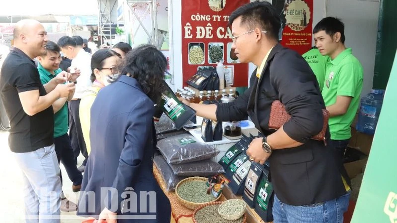180 unidades y negocios registrados para participar en la Feria Expositiva de Café y Productos OCOP foto 1