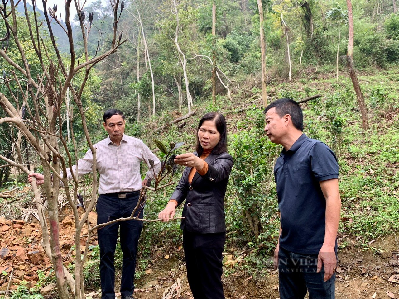 57 trong nông nghiệp: Tâm sự của các nhà khoa học khi làm nông dân (Bài 9) - Ảnh 4.