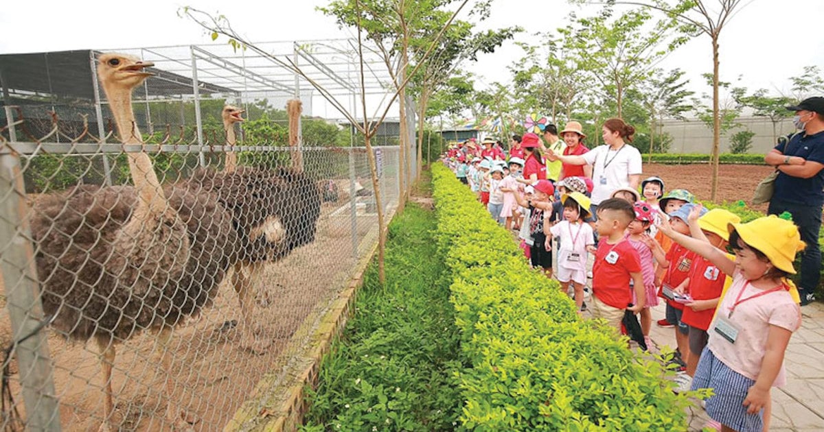 giải bài toán phát triển điểm du lịch thành sản phẩm OCOP