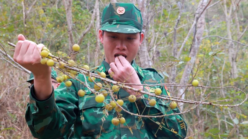 Лунг Ку: Пограничный патруль в сезон цветов, фото 11