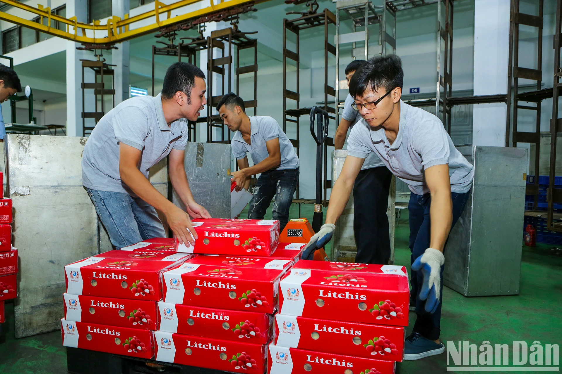 [Ảnh] Vải thiều Lục Ngạn, sản phẩm OCOP nổi tiếng của Bắc Giang ảnh 14