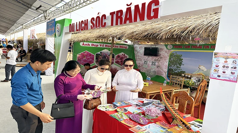 Première semaine attrayante de fleurs de trompette roses à Chau Thanh, Soc Trang photo 6