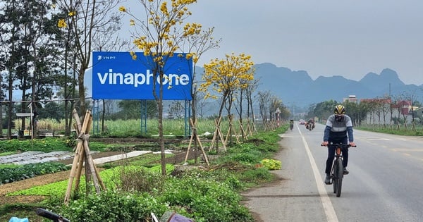 Belle nouvelle route fleurie rurale comme un film dans une commune rurale avancée de Ninh Binh, carillons éoliens jaune vif