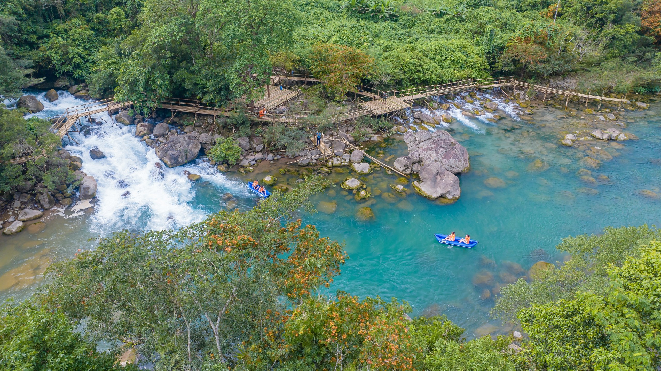 Admire the blooming yellow flowers by the poetic stream in the heart of the world natural heritage