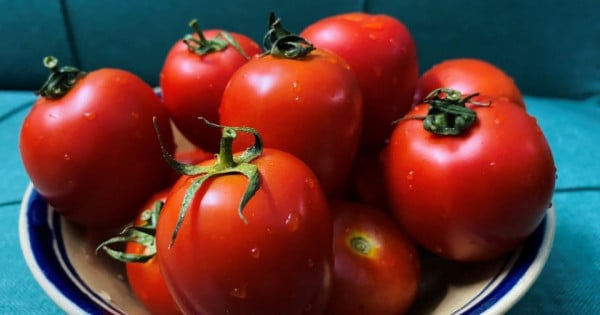 Useful tips to help you distinguish hormone-injected tomatoes