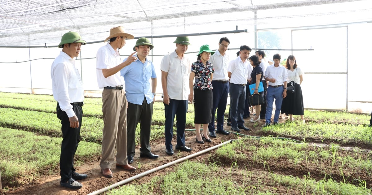 Mô hình du lịch sinh thái tại xã Hồng Vân, huyện Thường Tín, Hà Nội. Ảnh: Tùng Nguyễn