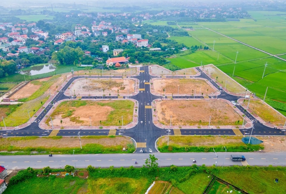 Un terrain vendu aux enchères dans le district de Phuc Tho (ville de Hanoi). 