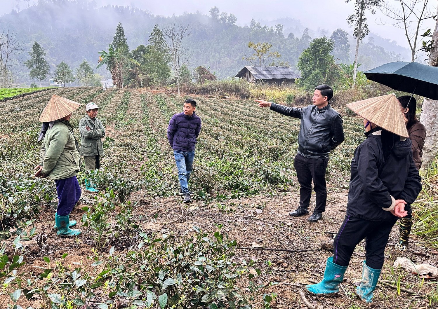 Lãnh đạo UBND huyện Chợ Đồn kiểm tra dự án hỗ trợ phát triển sản xuất liên kết theo chuỗi giá trị gắn với tiêu thụ sản phẩm cải tạo thâm canh cây chè trung du, do Hợp tác xã Nông nghiệp và du lịch Bắc Thái (xã Chu Hương) chủ trì liên kết.