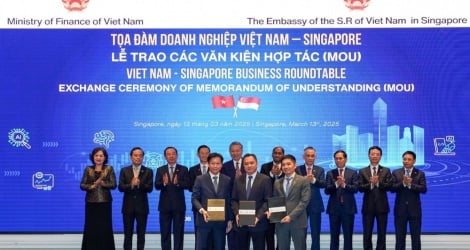 Vietnam Airlines joins hands with 3 Singaporean partners to bring Long Thanh Airport to the world