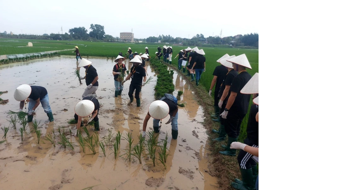 Du lịch xanh ngày càng trở thành xu hướng