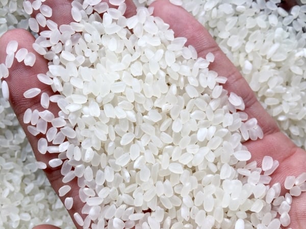 Japanese rice prices increase "shockingly", does Vietnamese rice have a chance?