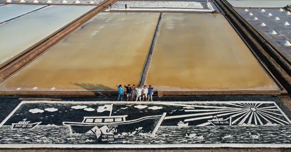 Relieve realizado con 300 kg de sal "mar adentro para dar la bienvenida al amanecer" en Bac Lieu