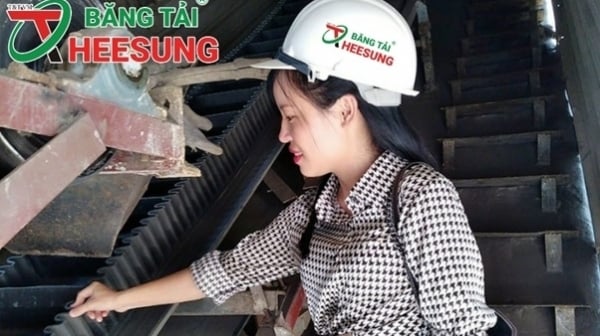 Hành trình khẳng định thương hiệu T&T