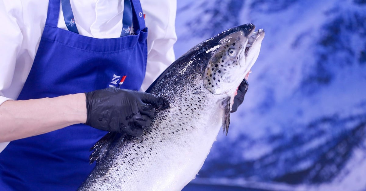 Vietnamese people spend 6,300 billion VND buying salmon, king crab, mackerel... from Norway in 2024