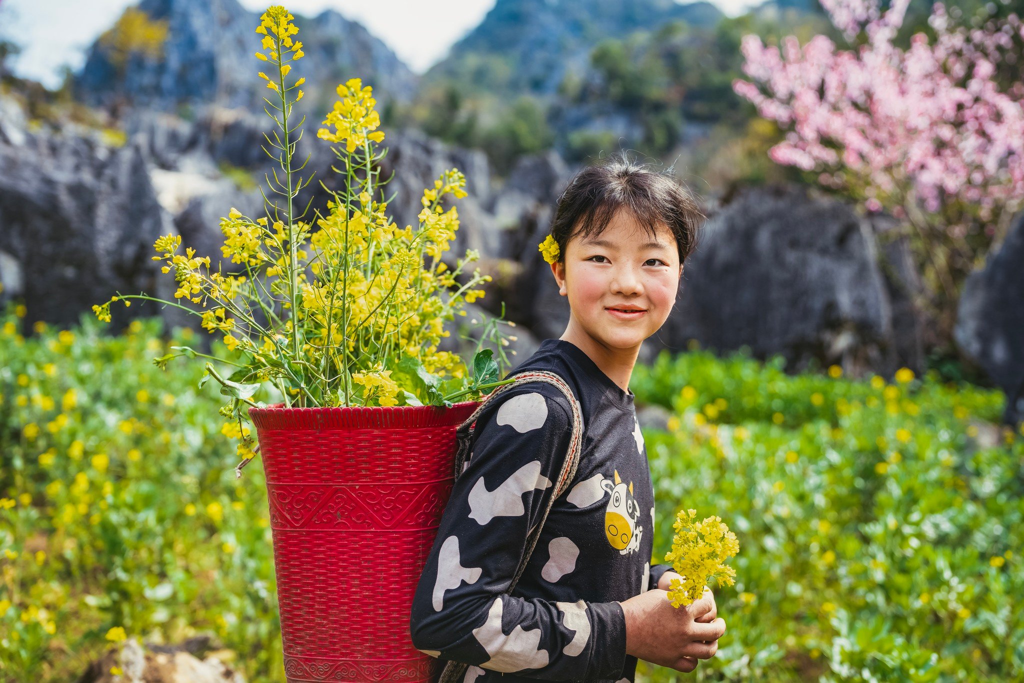 Ha Giang – Blumen auf den Bergfelsen