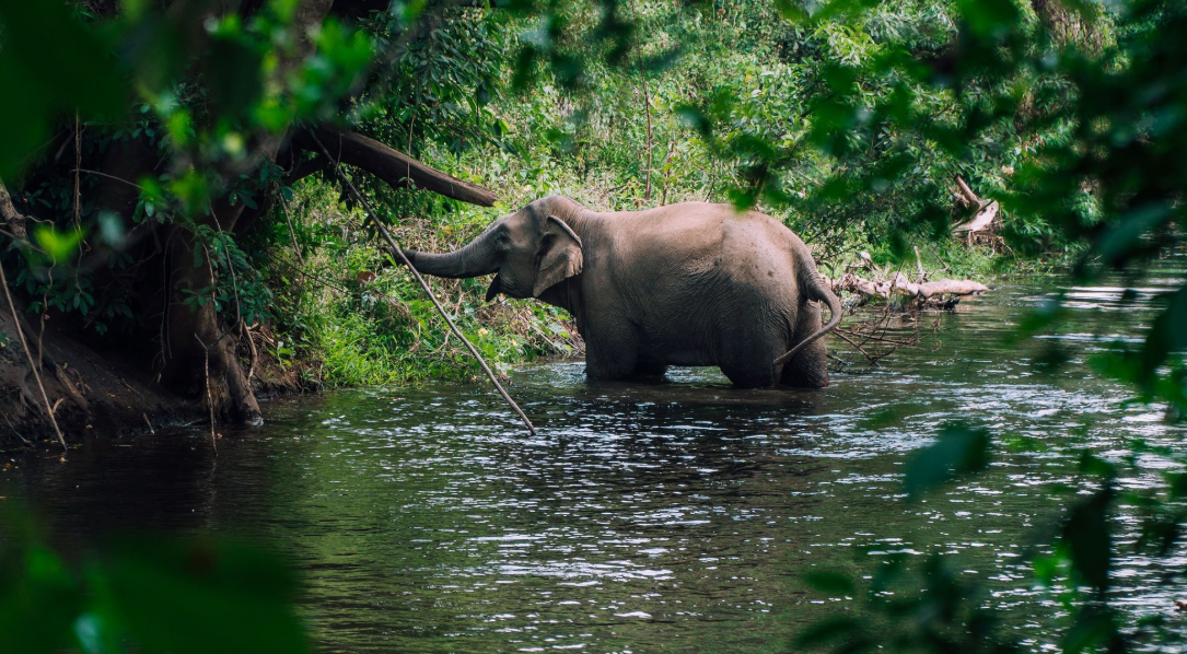 តើឃុំមួយណាធំជាងគេនៅក្នុងប្រទេសយើង ដែលមានផ្ទៃដីធំជាងខេត្តទាំងមូល?