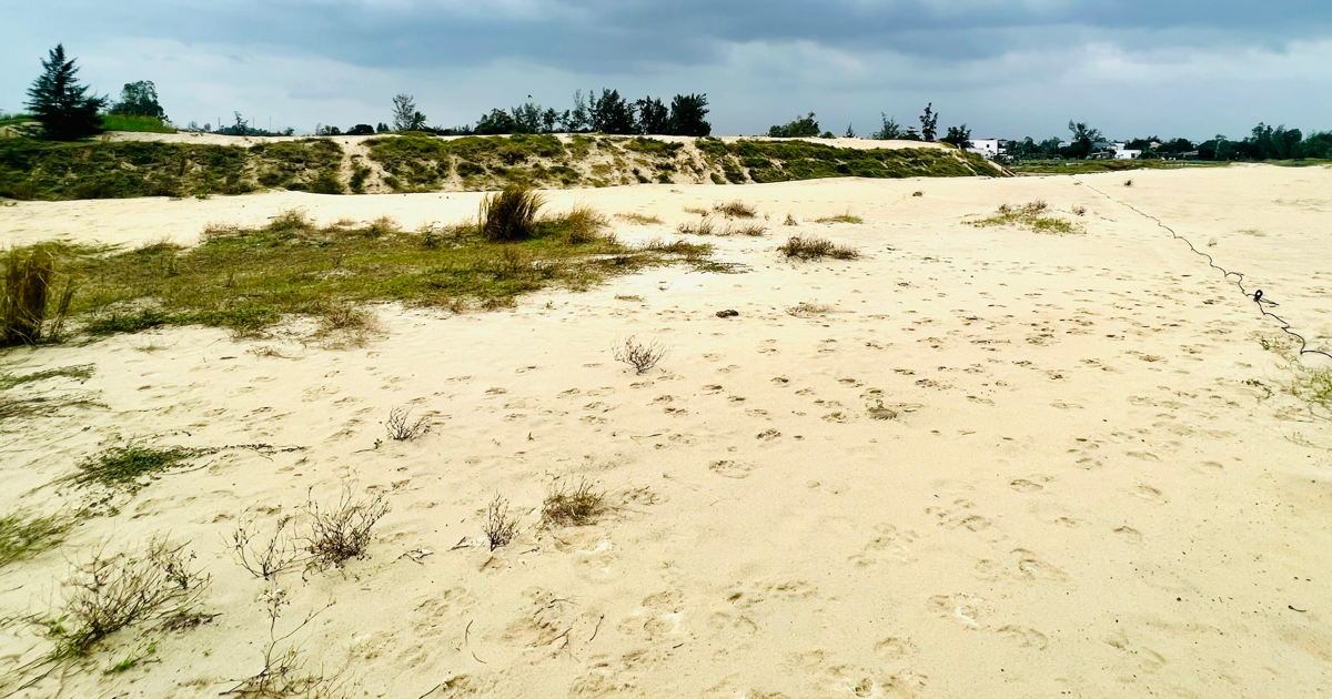 Quang Nam ist bei der Versteigerung von Sand aus dem Co Co-Fluss verwirrt.