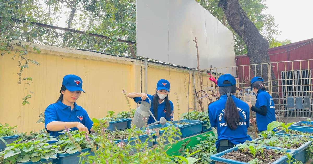 Los jóvenes participan activamente en el voluntariado para construir zonas rurales y urbanas civilizadas.