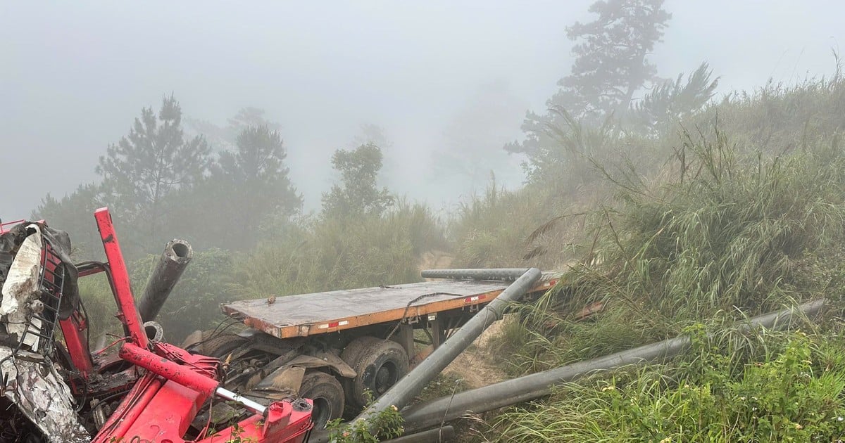 Driver's unsuccessful attempt to save electric pole truck from falling into abyss